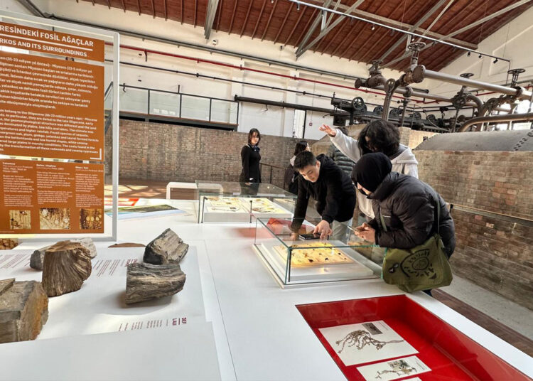 sh_blog_gezi_akdmk12